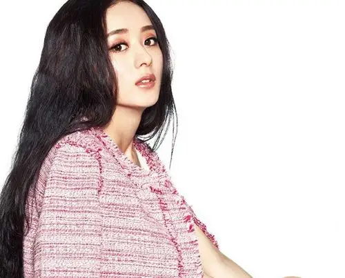 人气花旦赵丽颖登杂志封面 蓬松卷发变嬉皮女郎