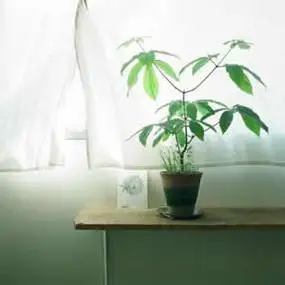 高清头像简约清新唯美图片