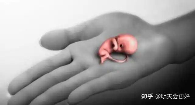 40天流产的胚胎图片太揪心了