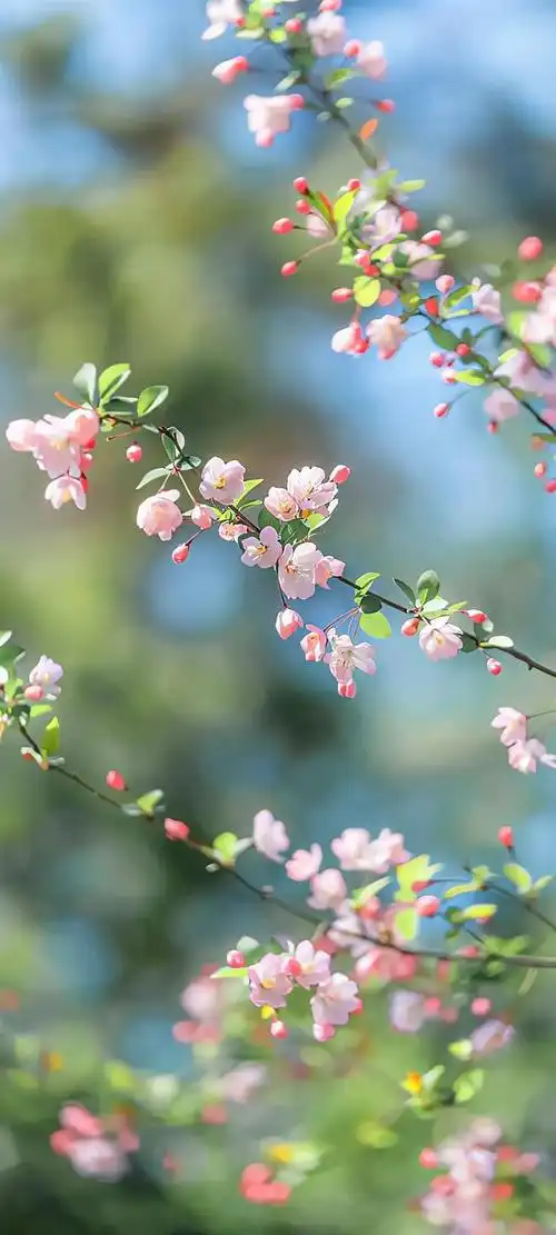 5.12壁纸 | 绝美的一组小清新壁纸,是心动的感觉