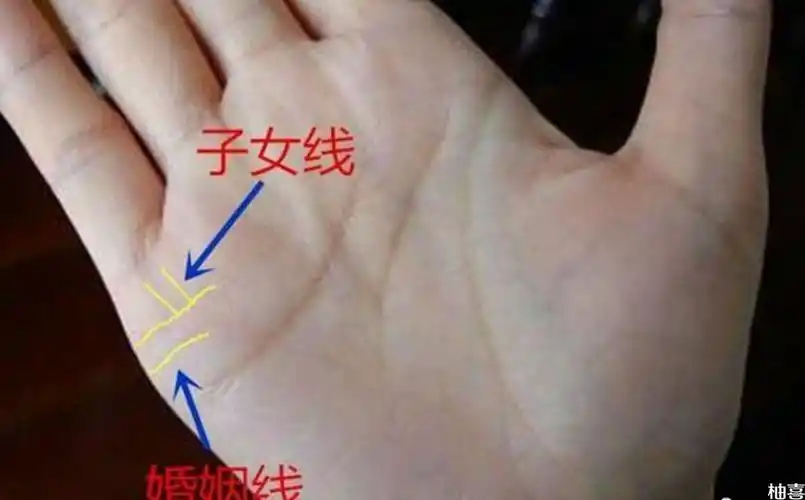 据说孕妇生男生女可以通过手相看出来,听说生二胎右手握拳看男女准确
