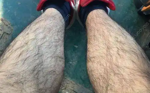 腿毛少意味着什么?_影响_头发_遗传