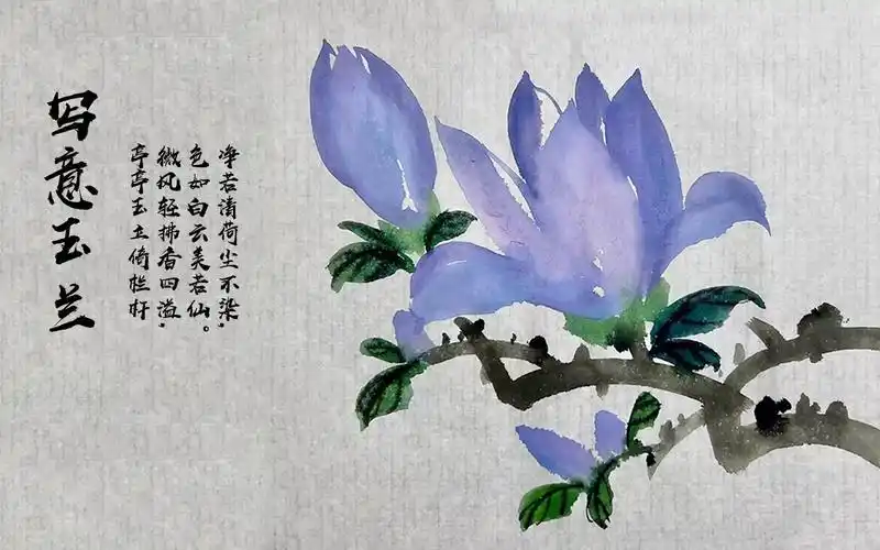 【国画】国画写意玉兰画画法,简单又好学!