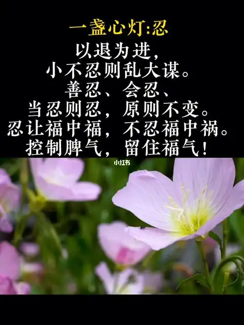 吉语一盏心灯忍控制脾气留住福气