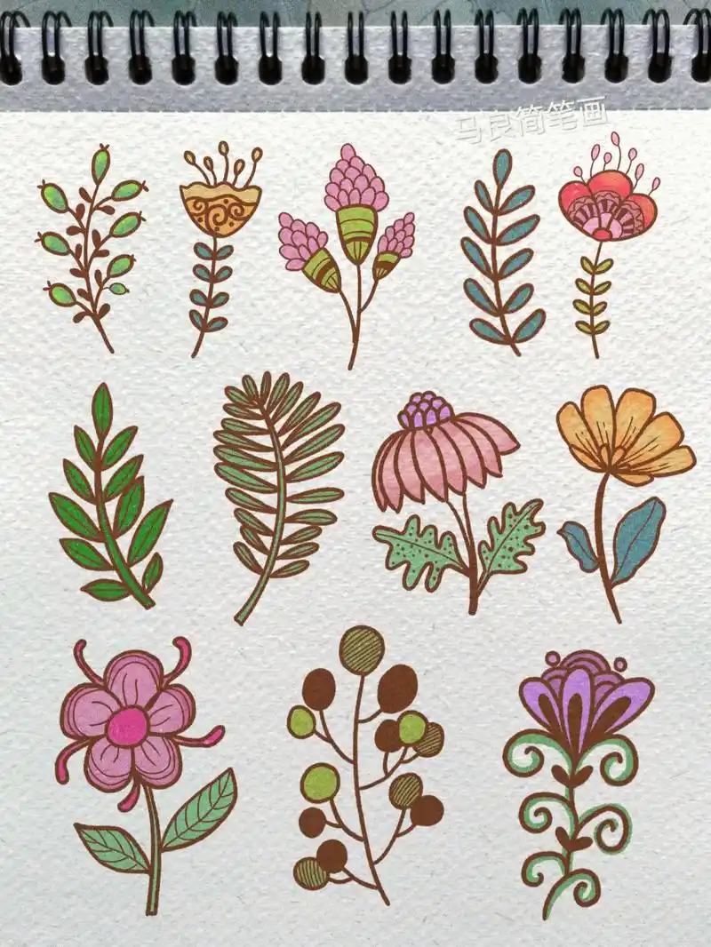简笔画|各种花卉植物简单花朵手绘手帐素材 零基础绘画|简笔画教程