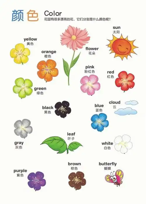 颜色的英文单词真的是好治愈##英语口语  #英语  #颜色  #英文启蒙