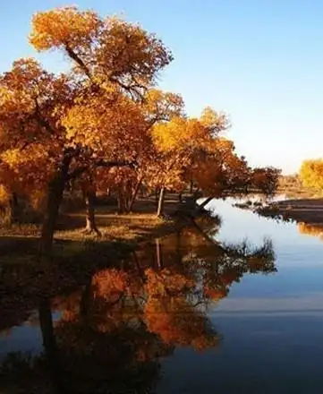 沿途每一道桥的风景各有千秋,随时进入眼帘的都是一幅美丽的风景画.