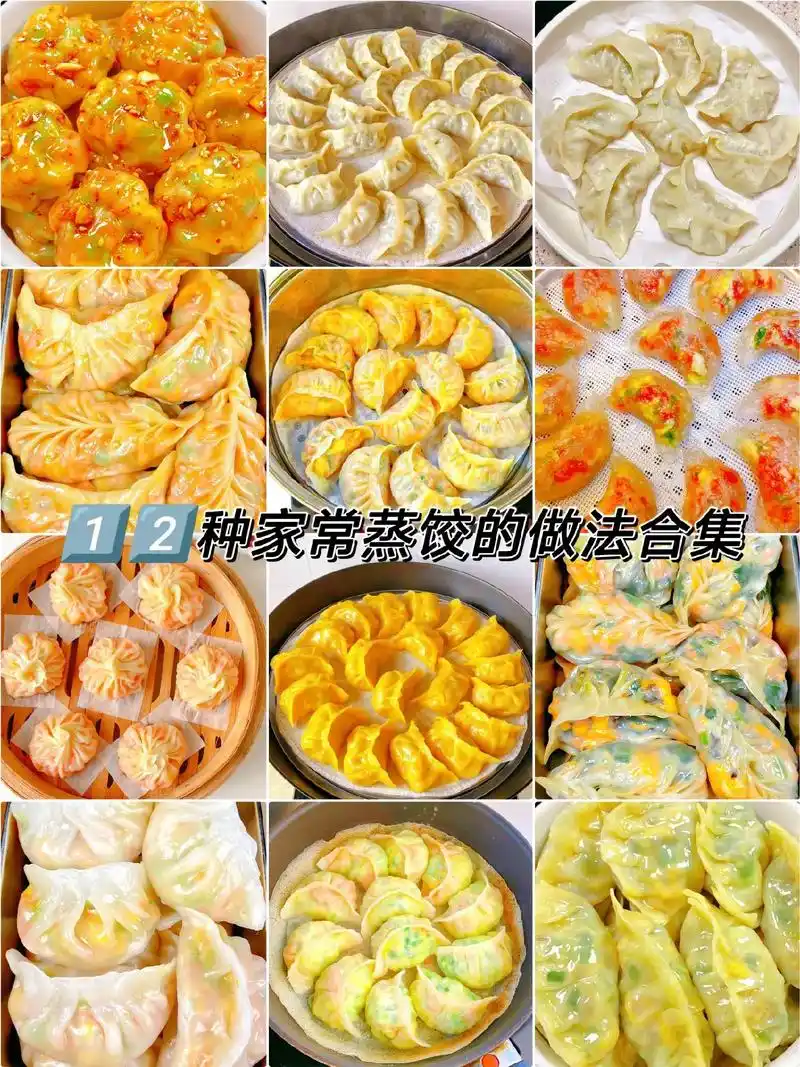 一看就会的12种家常蒸饺,可做儿童早餐.#学会快去试试吧97 - 抖音