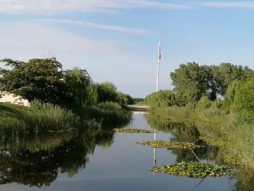 大美宿迁湖滨公园 - 美篇