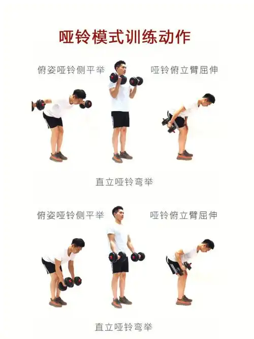 的多功能组合哑铃套装跟大家分享最适合居家训练的11个哑铃训练动作!