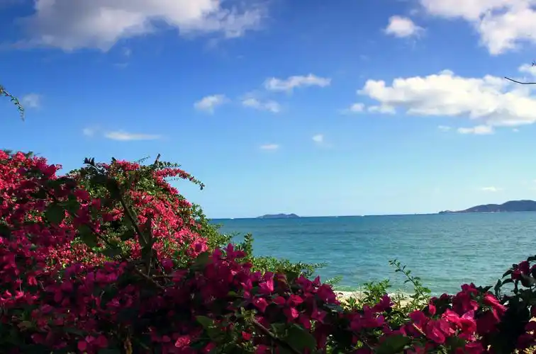 岁末来一场三亚旅行,恋上最美的碧海蓝天