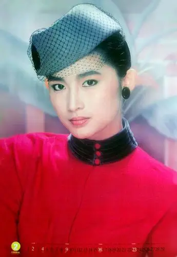 刘瑞琪,台湾影视演员.