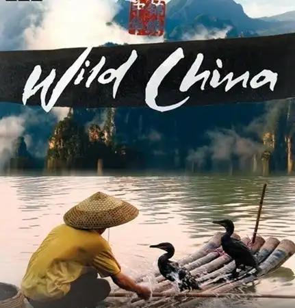 六集大型纪录片《美丽中国》