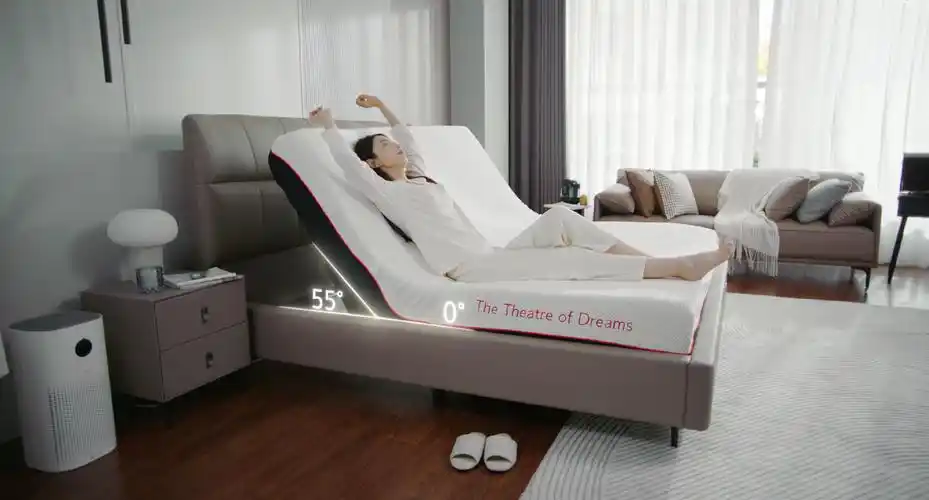 智能床业务表现亮眼梦百合获鲸潮奖年度最硬科技奖