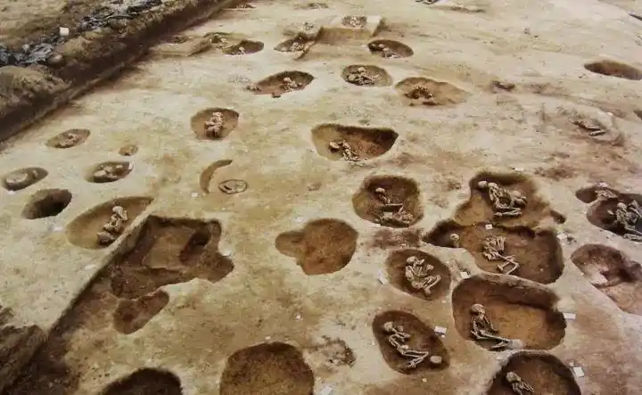 重磅湖北石家河遗址入选世界重大田野考古奖