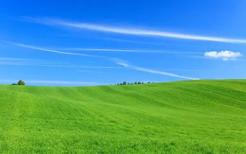 治愈系这个四月一定要换上喜欢的电脑桌面壁纸90返回搜狐,查看更多