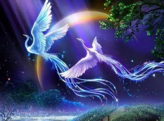 十二星座专属凤凰坐骑,巨蟹座高贵优雅,水瓶座很稀有!_事情_内心_感觉