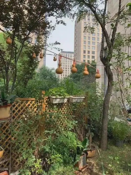 37岁杨幂的豪宅内景火了父亲晒图被网友连喊岳父