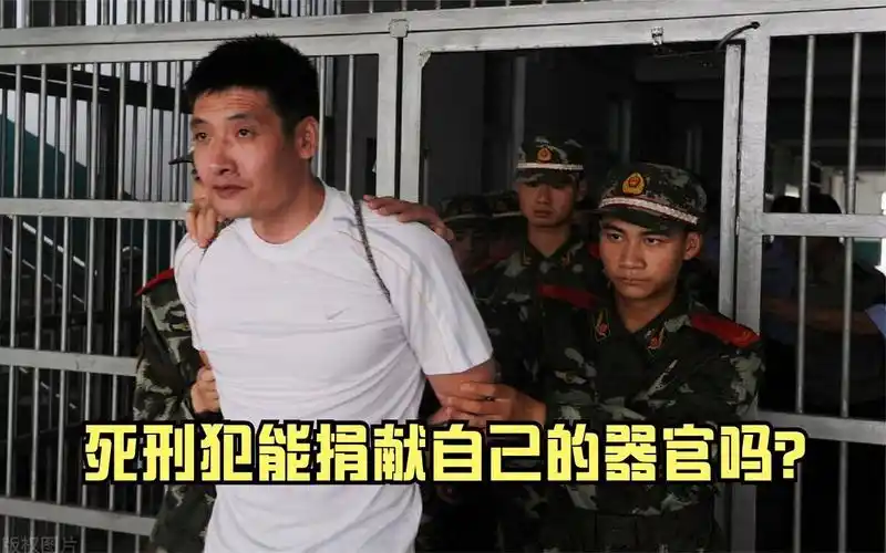 死刑犯能捐献自己的器官吗?