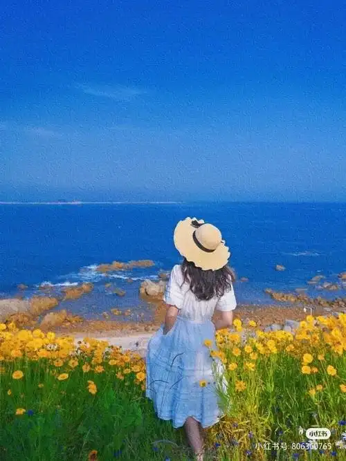 花海王炸这条路上的这片花海太惹眼