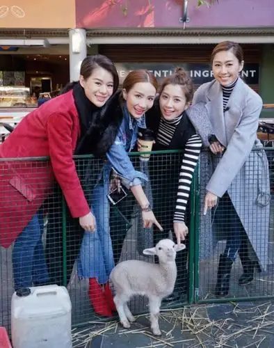 胡说八道会,胡定欣,胡蓓蔚,姚子羚,胡杏儿,黄智雯,李施嬅, 闰蜜旅行装