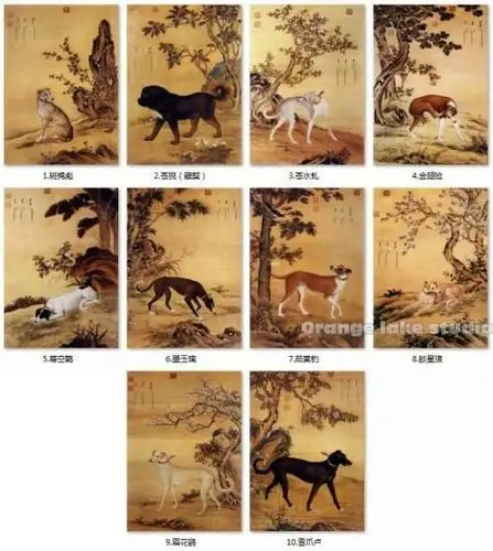 台北故宫以展十骏犬图祝福狗吉祥.