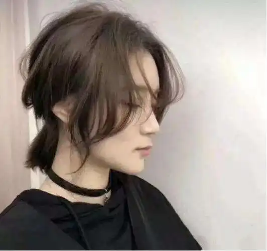 高颧骨菱形脸发型短发(剪对短发换头)(6)