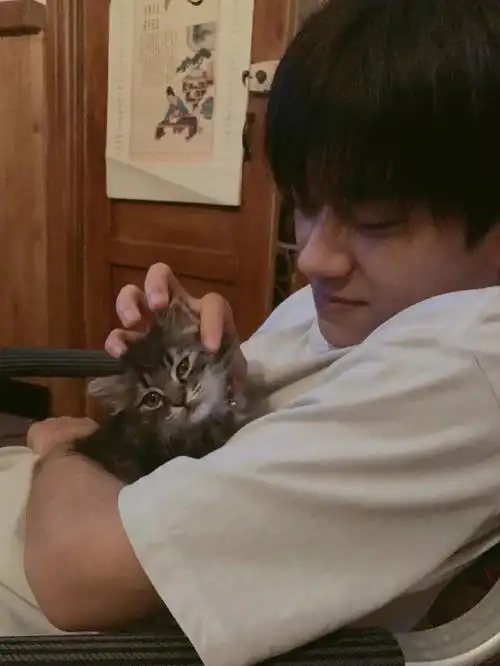 易烊千玺头像  很喜欢的一组千玺情头