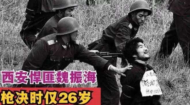 也正是这个案件,让魏振海露出了马脚,参与作案的成员谢峰在除夕夜出门