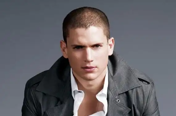 wentworth miller 《越狱》男主