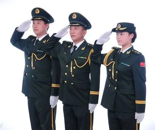 我是一个兵:崇高的军礼