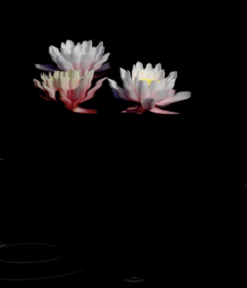 唯美动态图,背景图 - 堆糖,美图壁纸兴趣社区