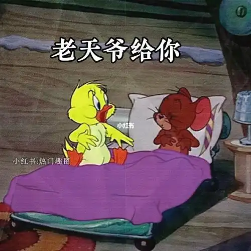 表情包  #艾特你想艾特的人  #情侣