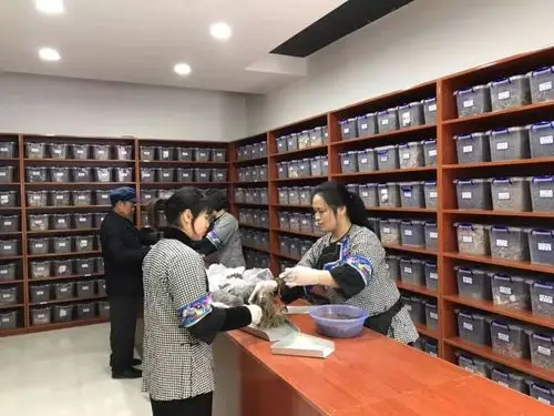 田兴秀我很早就欢喜做个草药匠