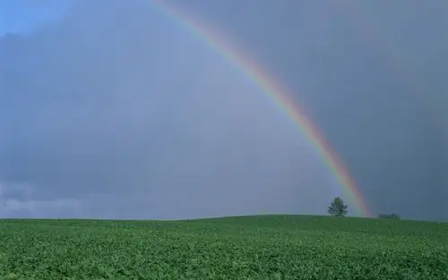 沉潜文字 - 简书