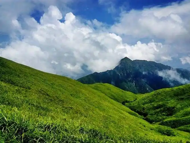 【携程攻略】明月山高山草甸好玩吗,明月山高山草甸景点怎么样_点评