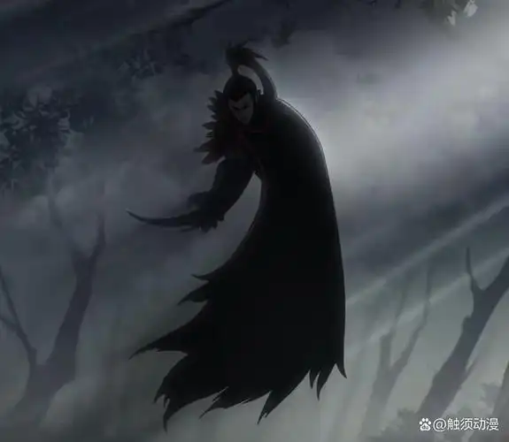 题记:本季《刺客伍六七》中"不死黑鸟"穿的是什么衣服,答对了,黑衣,也