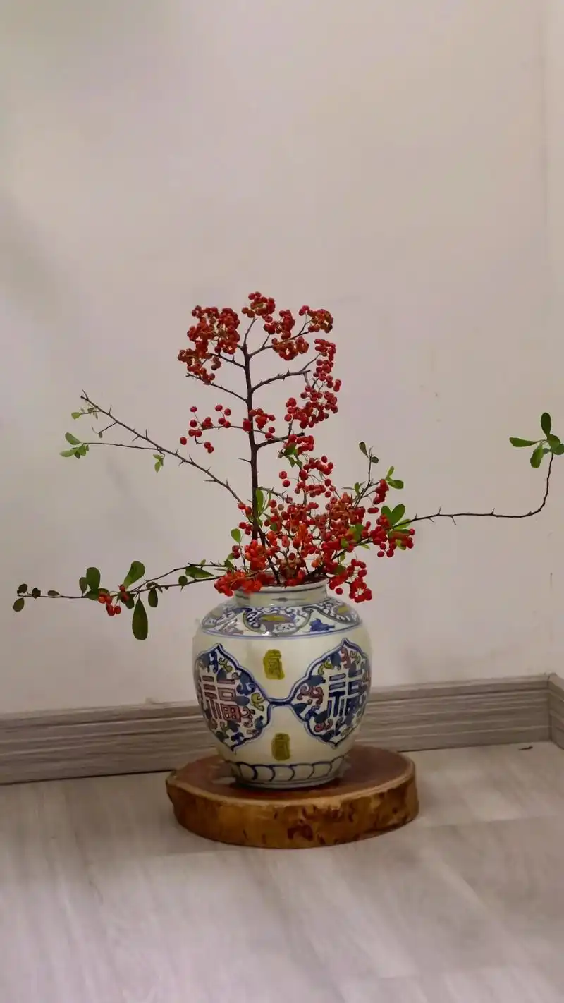 插花火棘果,是一种情怀吧……火棘果,又叫救军粮,跟红军还有一 - 抖音