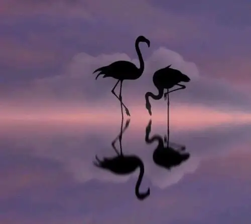 全民k歌背景图@red希希 侵删