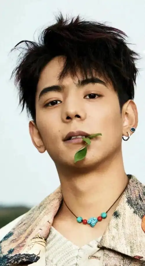 曾经,丁真以其淳朴自然的形象,一双清澈明亮的眼睛