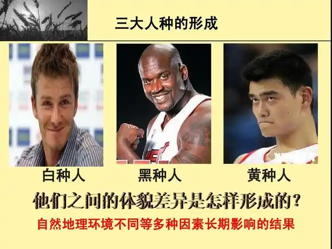 三大人种的形成 白种人 黑种人 黄种人 自然地理环境不同等多种因素