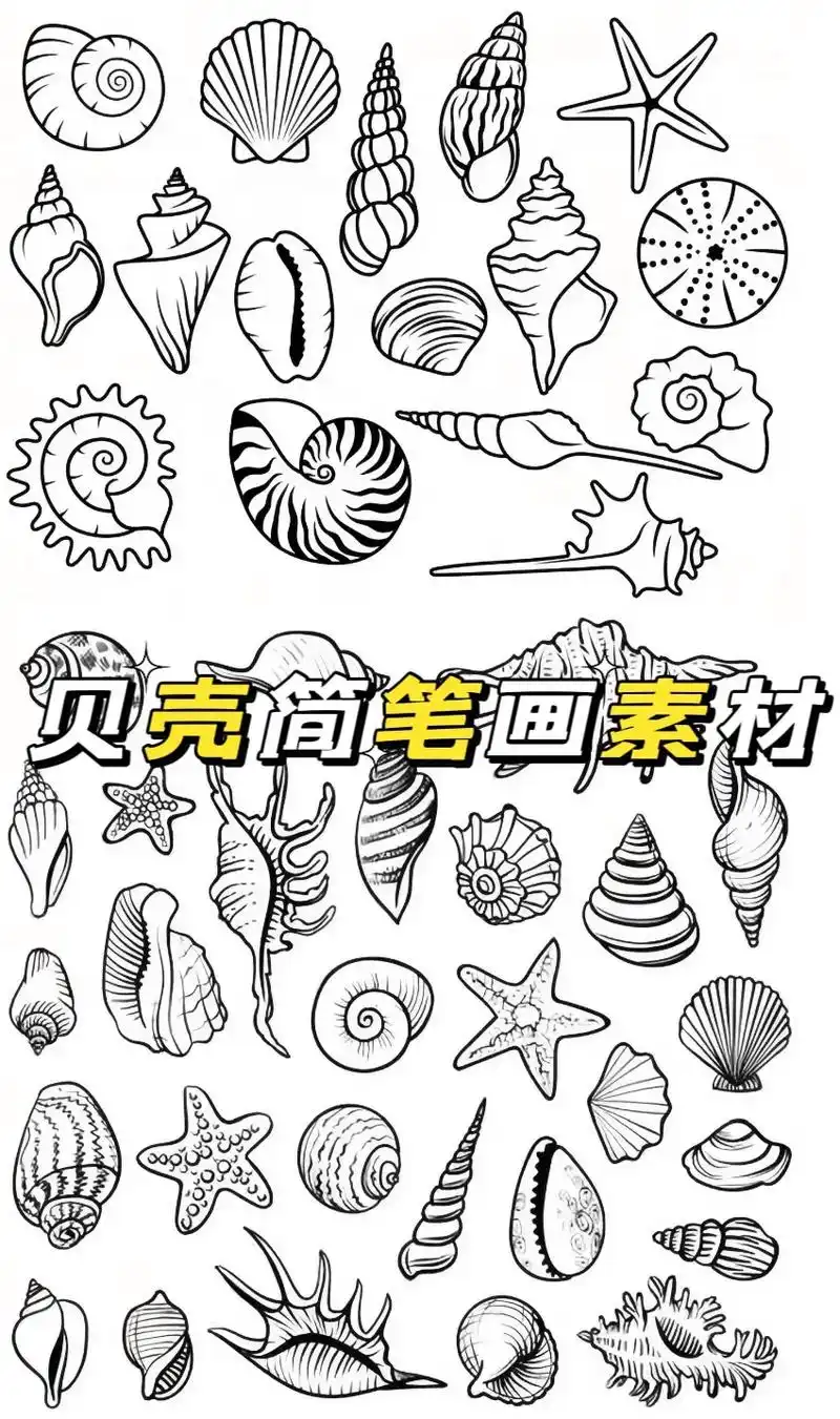 贝壳简笔画素材大全.#创作灵感 贝壳海螺简笔画素材大全来啦# - 抖音