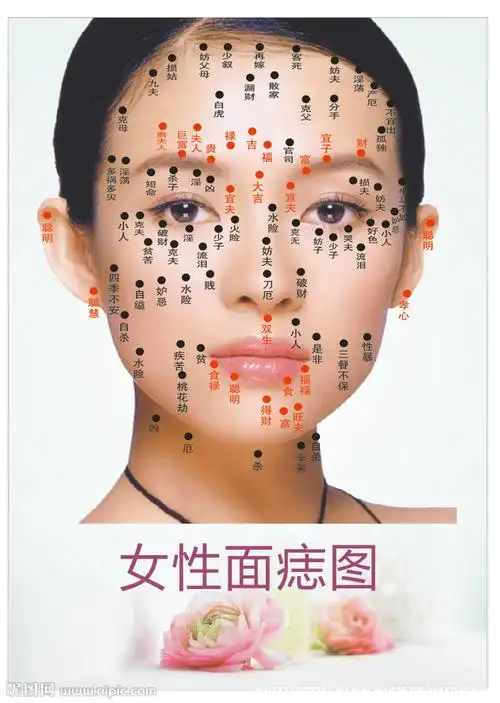面部痣相图解女人左右