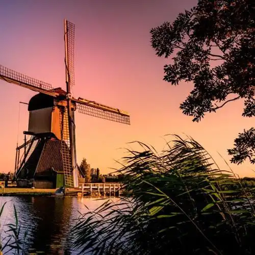 好看的风车图片头像