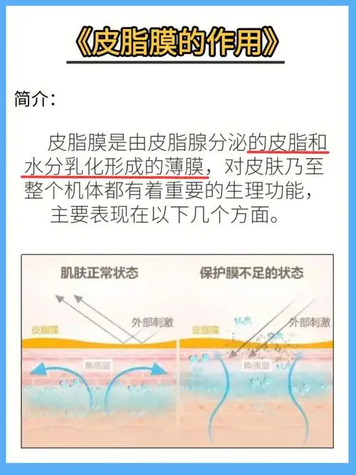 皮脂膜的作用,有很多的姐们不了解这方面的知识,不知道自己的皮肤是