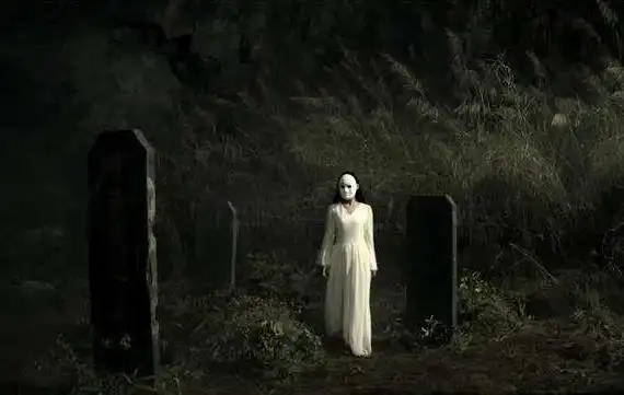 小镇深夜现白衣"女鬼", 村民自发组织捉鬼,结果哭笑不得_手机搜狐网