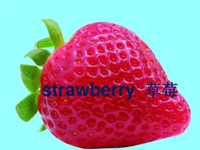 各种常见水果的英语名称 strawberry 草莓