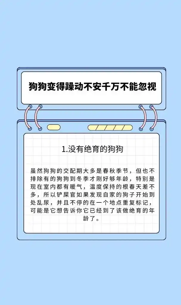 冬季狗狗变得躁动不安铲屎官千万不能忽视