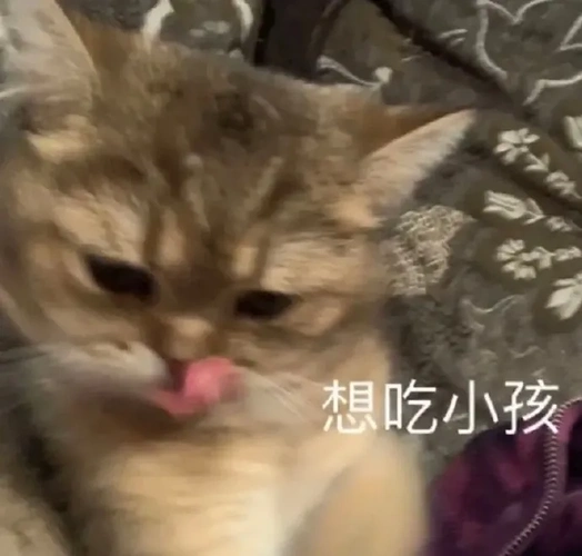 热门表情包大合集丨想吃小孩