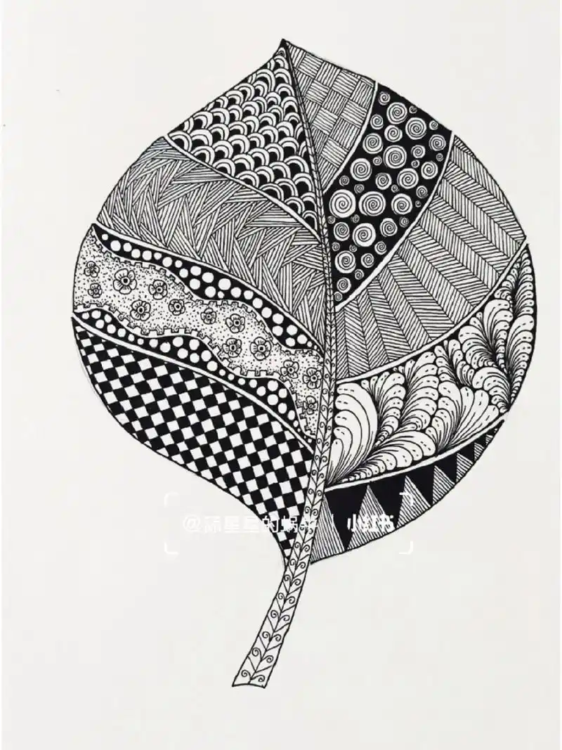 线描创作‖原创黑白线描画《叶子》图文版 一片叶,两片叶,片片叶,将你